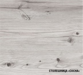 АСАЯ Кухонный гарнитур Экстра (3000 мм) в Реже - rezh.mebel-74.com | фото