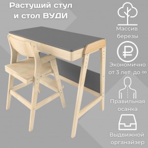 Комплект растущий стол и стул 38 попугаев «Вуди» (Серый, Без покрытия) в Реже - rezh.mebel-74.com | фото