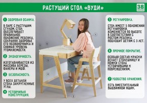 Комплект растущий стол и стул с чехлом 38 попугаев «Вуди» (Белый, Береза, Ромбы) в Реже - rezh.mebel-74.com | фото
