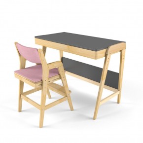 Комплект растущий стол и стул с чехлом 38 попугаев «Вуди» (Серый, Береза, Розовый) в Реже - rezh.mebel-74.com | фото