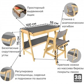 Комплект растущий стол и стул с чехлом 38 попугаев «Вуди» (Серый, Береза, Серый) в Реже - rezh.mebel-74.com | фото