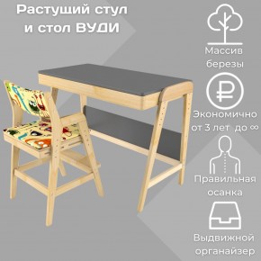 Комплект растущий стол и стул с чехлом 38 попугаев «Вуди» (Серый, Без покрытия, Монстры) в Реже - rezh.mebel-74.com | фото
