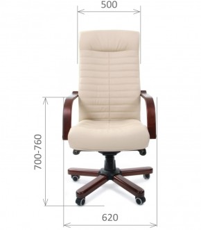 Кресло для руководителя CHAIRMAN 480 N WD (Экокожа) в Реже - rezh.mebel-74.com | фото