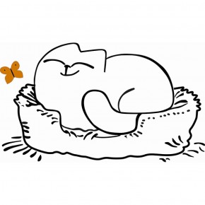 Кровать двухуровневая Кот № 900.1 ЛЕВАЯ (туя светлая/белый) в Реже - rezh.mebel-74.com | фото