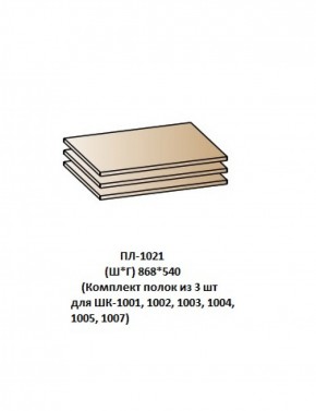 ПЛ-1021 (Комплект полок из 3 шт для ШК-1001, 1002, 1003, 1004, 1005, 1007) в Реже - rezh.mebel-74.com | фото