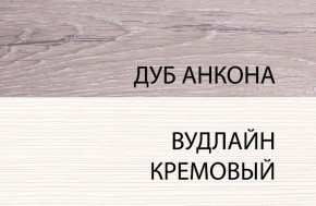 Шкаф 1DW, OLIVIA, цвет вудлайн крем/дуб анкона в Реже - rezh.mebel-74.com | фото