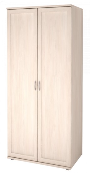 Шкаф для одежды 2-х дверный Ника-Люкс 21 в Реже - rezh.mebel-74.com | фото
