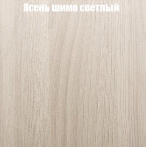Шкаф-купе «ТАНДЕМ» 2-х дверный в алюминиевом профиле (Дверь ЛДСП+ЛДСП) 1200/h2200 в Реже - rezh.mebel-74.com | фото