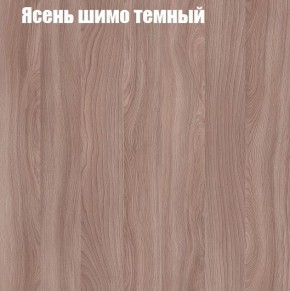 Шкаф-купе «ТАНДЕМ» 2-х дверный в алюминиевом профиле (Дверь ЛДСП+ЛДСП) 1200/h2200 в Реже - rezh.mebel-74.com | фото
