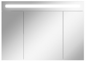 Шкаф-зеркало Аврора 100 с подсветкой LED Домино (DV8012HZ) в Реже - rezh.mebel-74.com | фото
