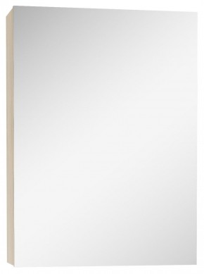 Шкаф-зеркало Мечта 40 Дуб сонома АЙСБЕРГ (DM2317HZ) в Реже - rezh.mebel-74.com | фото