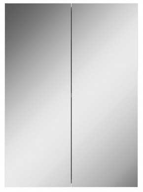 Шкаф-зеркало Норма 50 2 двери АЙСБЕРГ (DA1636HZ) в Реже - rezh.mebel-74.com | фото