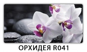 Стол обеденный Трилогия с фотопечатью Орхидея R041 в Реже - rezh.mebel-74.com | фото